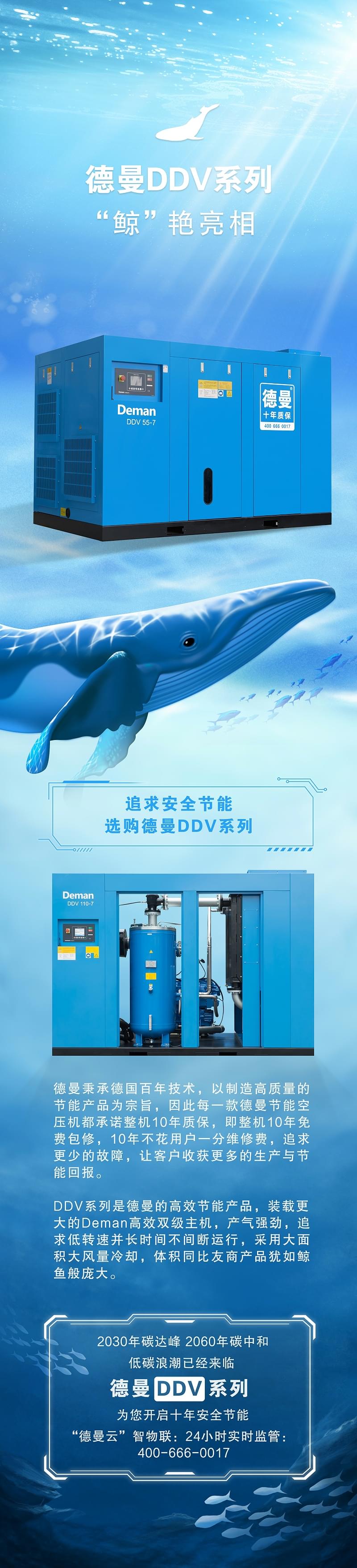 蓝冠注册DDV系列节能空压机