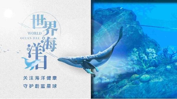 世界海洋日|蓝冠注册为你勾勒心中那片海